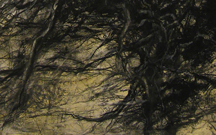 Contra Viento y Marea